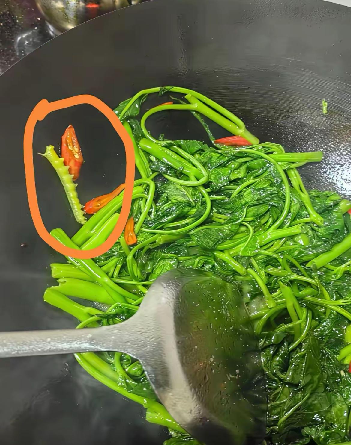 我的菜啊！好好一锅全废了，心疼死了。