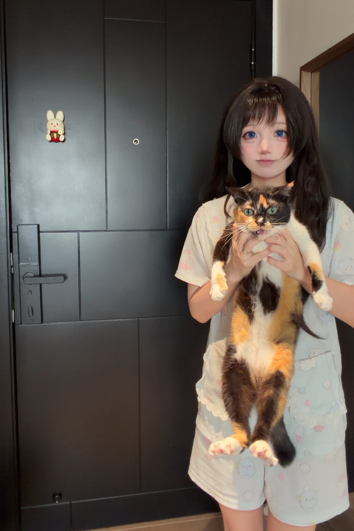 有人说好久没看到三花猫了，豆苗在此