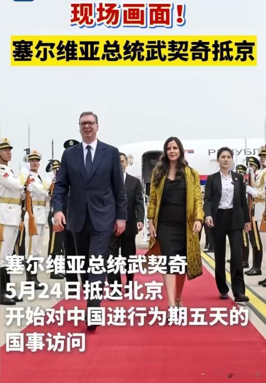 武契奇来了！5天访华，塞尔维亚这个兄弟够铁
武契奇顶着西方压力来华5天，这份情谊