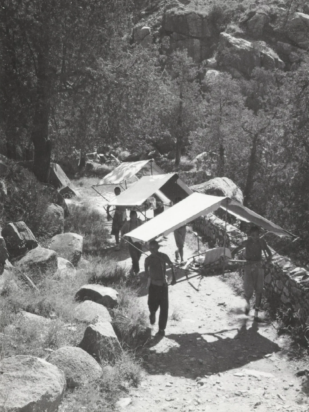 看了还要来｜1933年白天登泰山