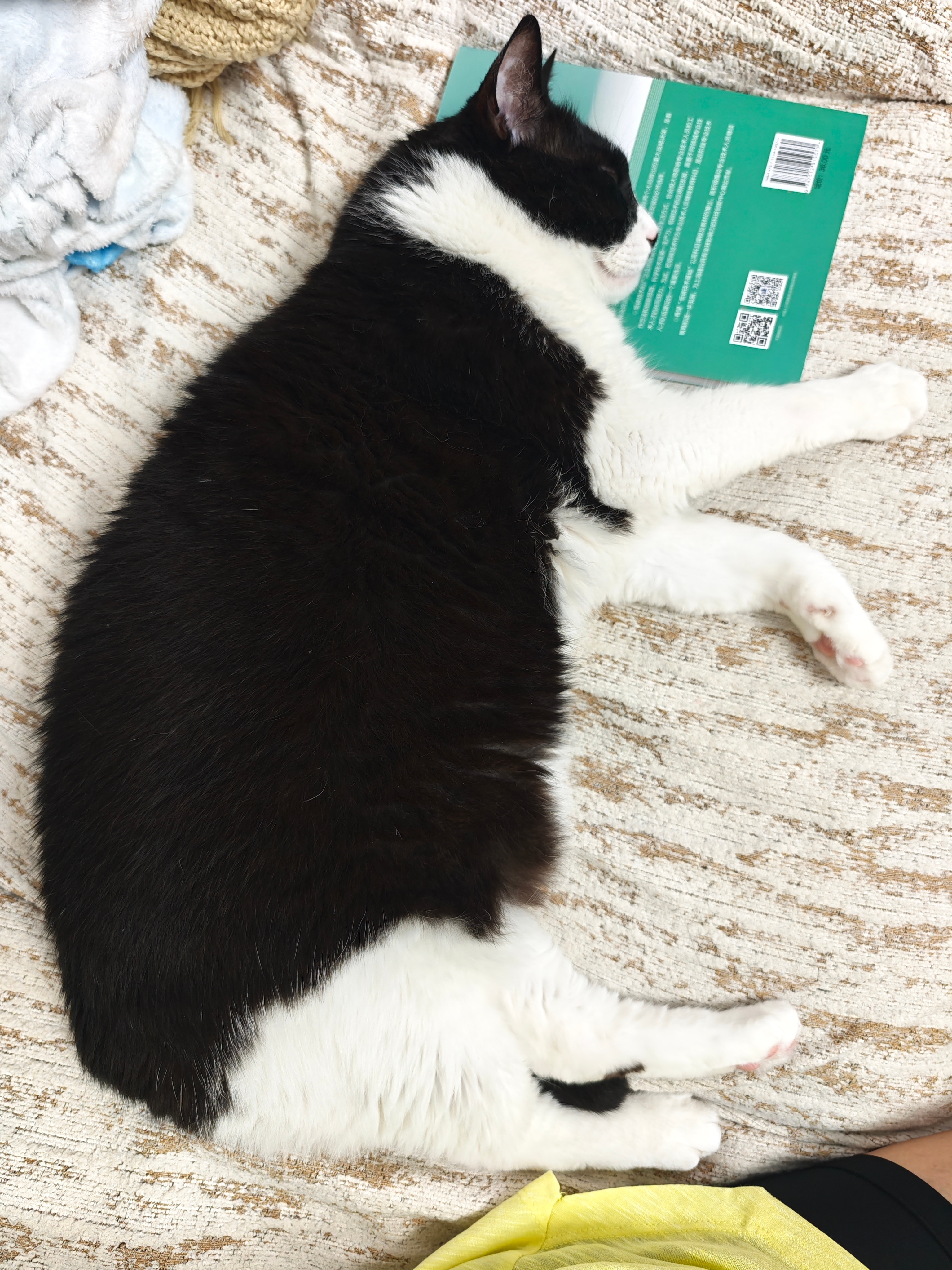 知识进脑没有？兄弟 