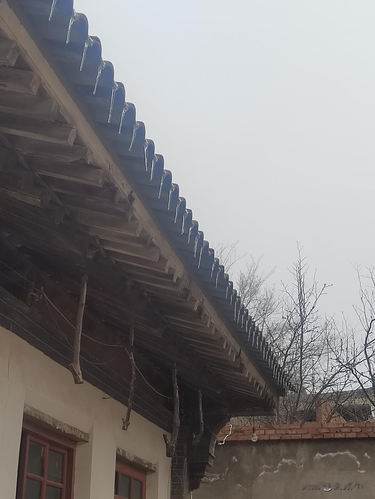 “世味年来薄似纱，谁令骑马客京华”，陆游这句诗道尽了世间炎凉与身不由己。想想现在