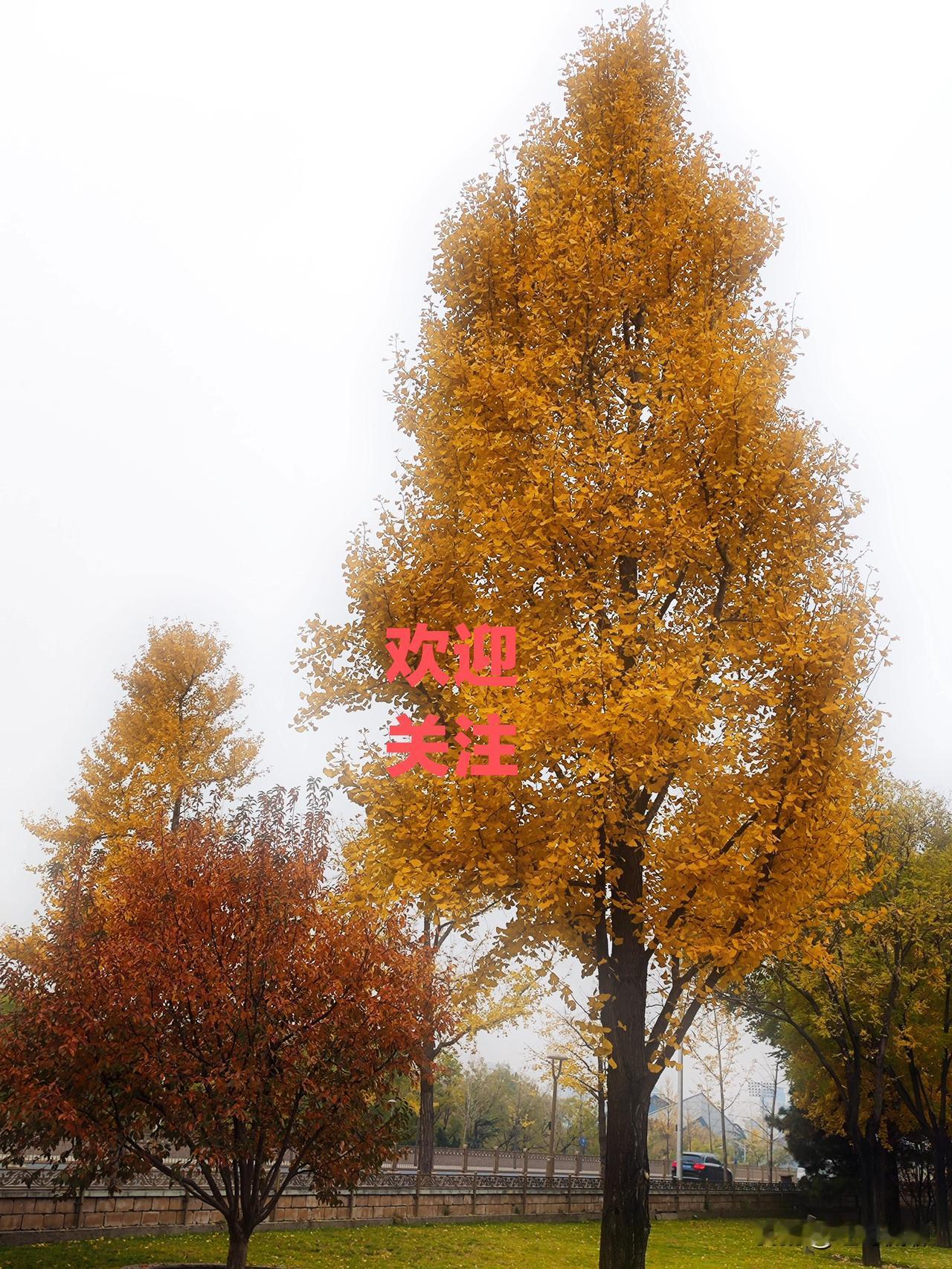 很多人都纳闷，为啥有的公司老亏损，老板身价却一直网上穿，有人说人家不是在经营产品