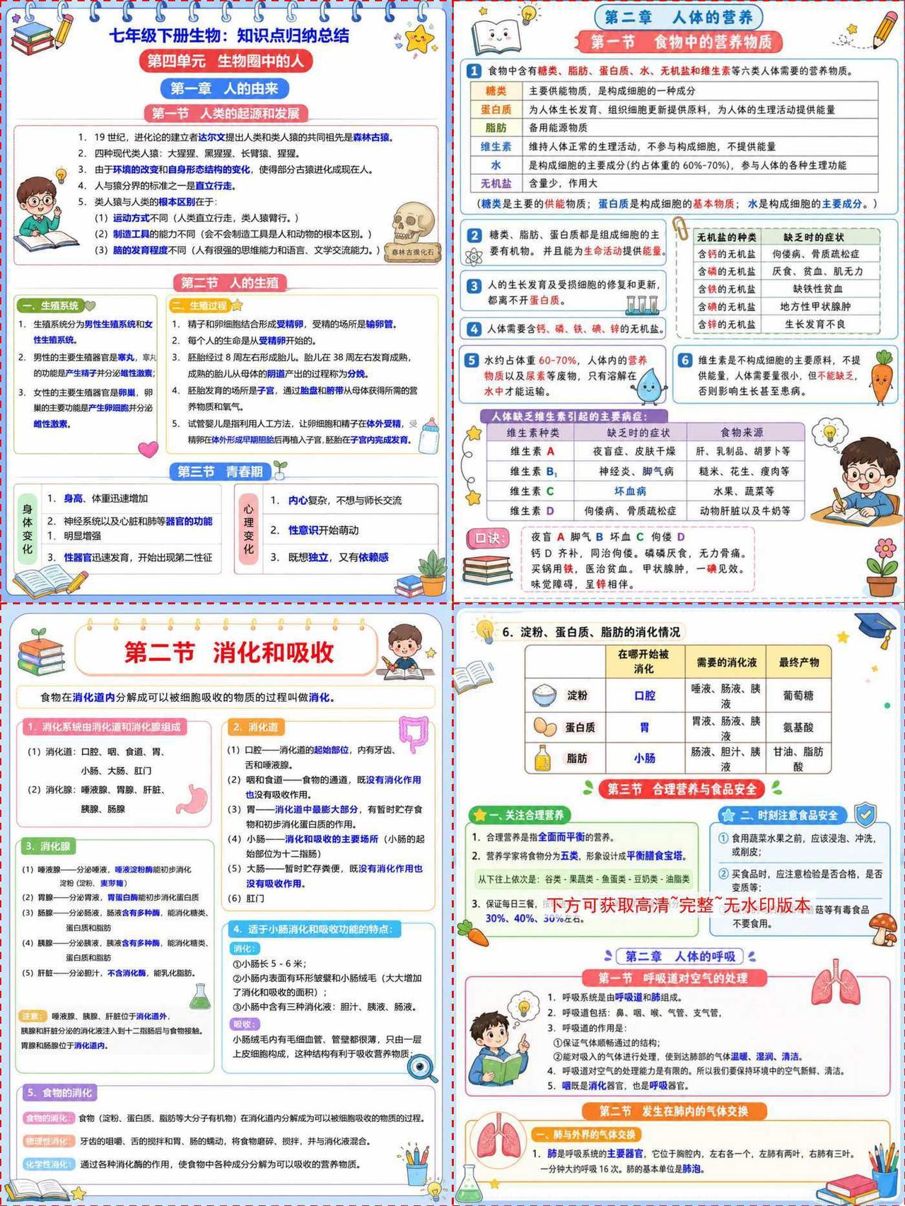 ☀️七下生物期末必背！熬夜整理的复习资料