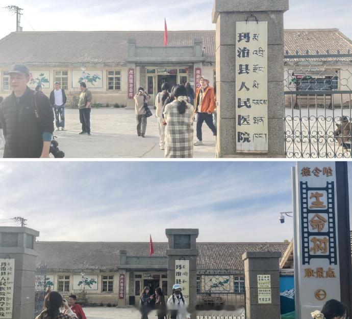 生命树迎来了真正的宣发期 很多剧的宣发集中在开播前后，但《生命树》不一样。作为金