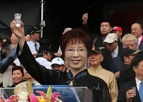 洪秀柱在接受媒体采访时抛出一句极具分量的话：“如果台湾不是大陆的领土，清朝怎么能