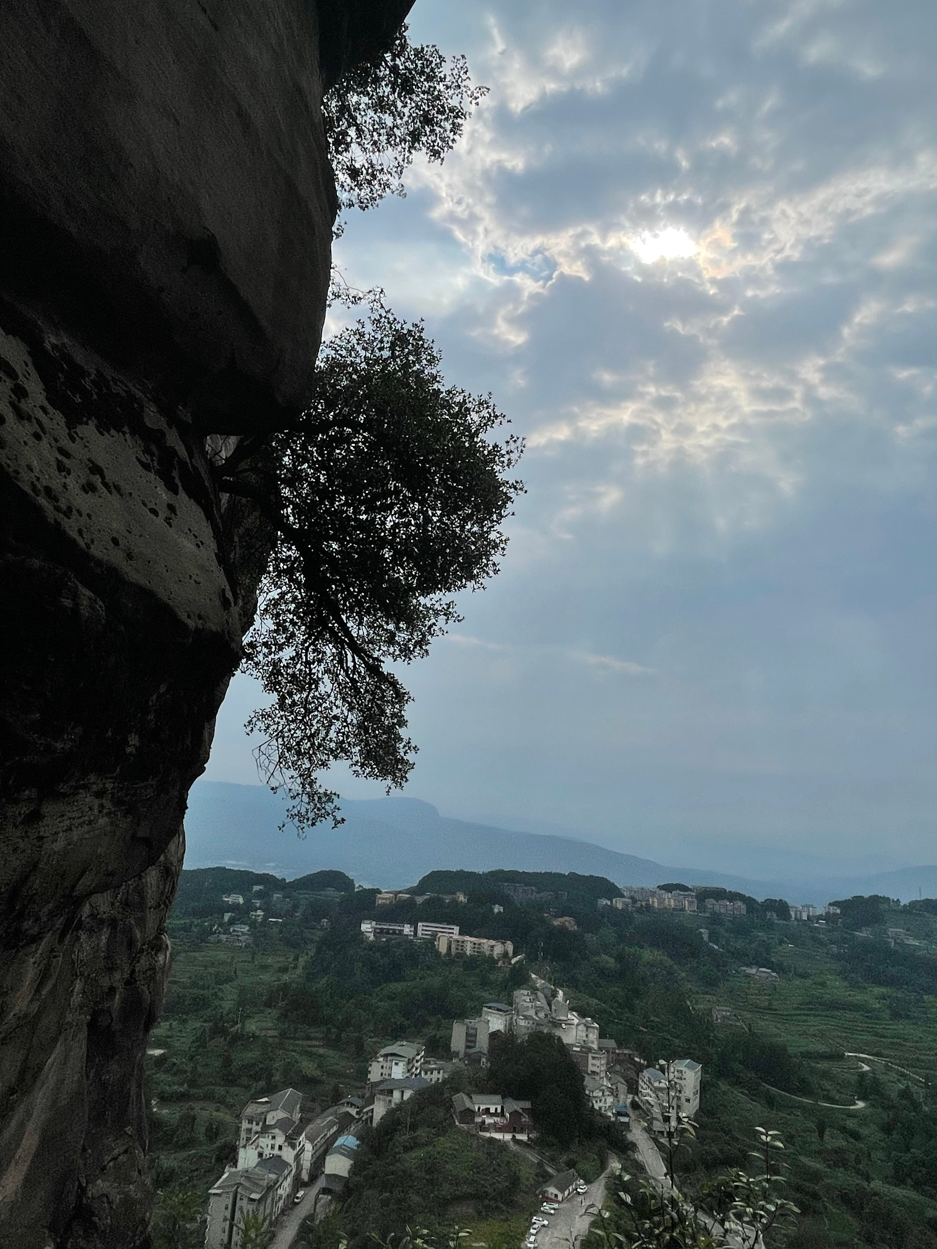 分享图片 ​​​