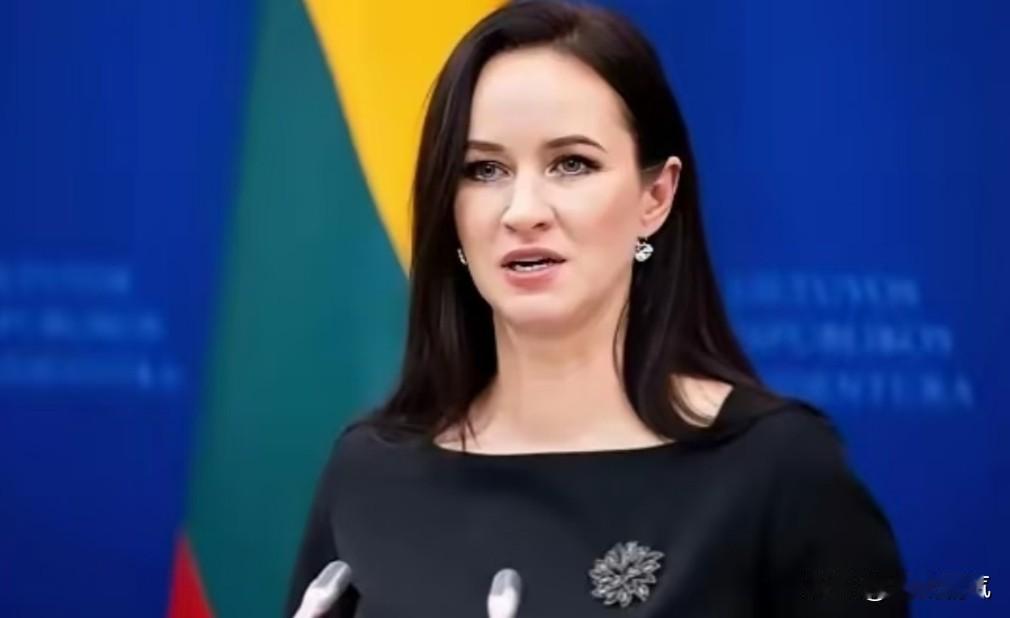在昨天，当地时间 6 月 22 号，英国首相斯塔默宣布辞职之后，今天又有一个西方