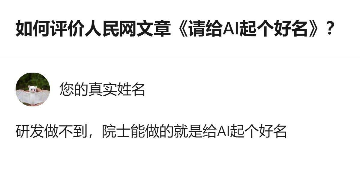 针对人民网《请给AI起个好名》的讨论中，有观点提出“人工智能”已完成本土化且被广