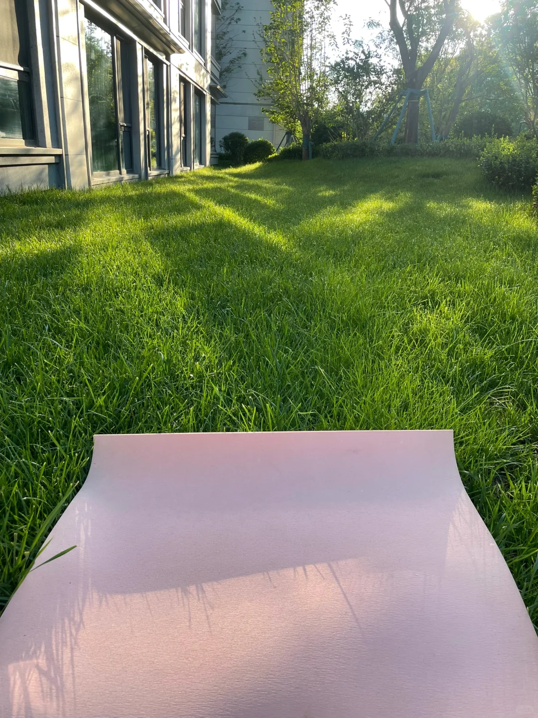 五点半起床冥想，真的彻底改变了我的生活