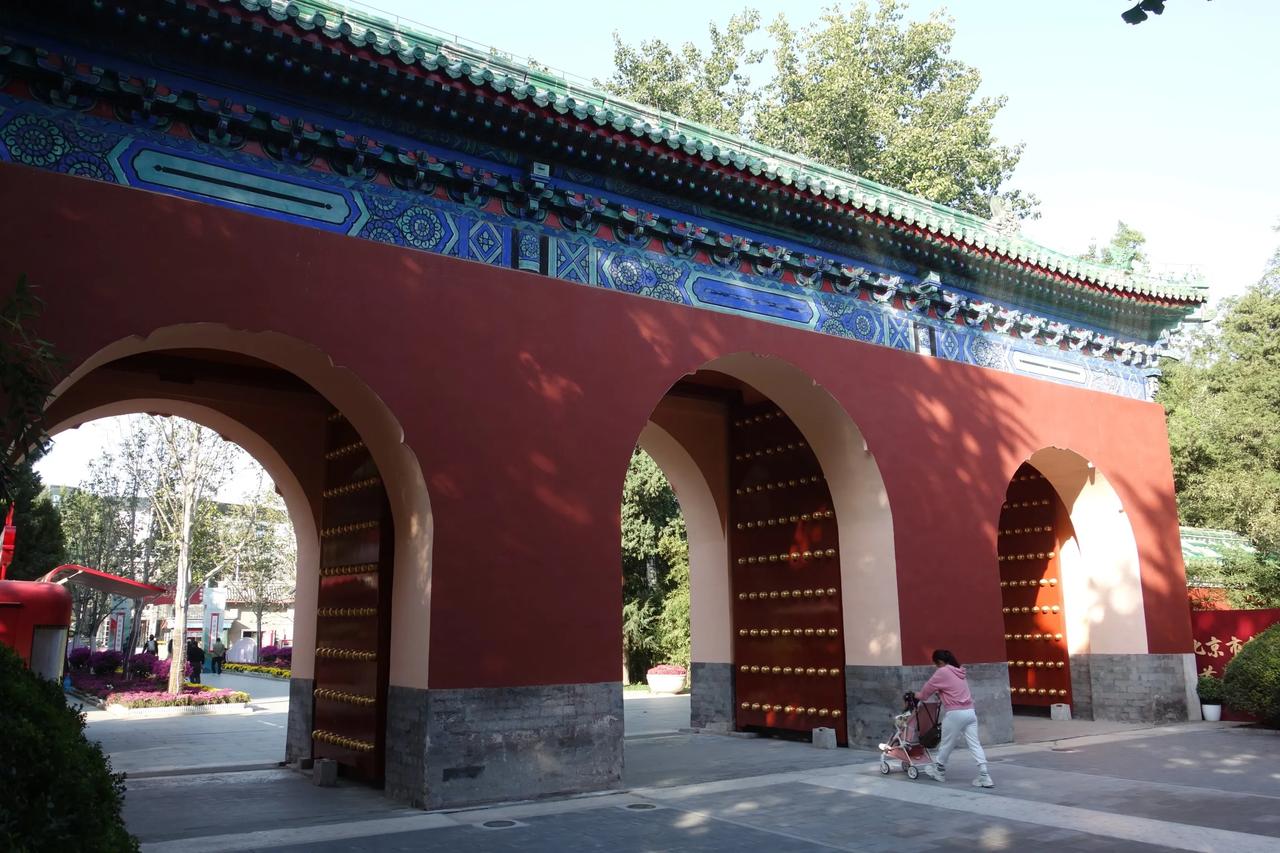 1974年公园首次举办菊花展来，时隔50年今年再次以菊花为主题的展览。
菊花展采