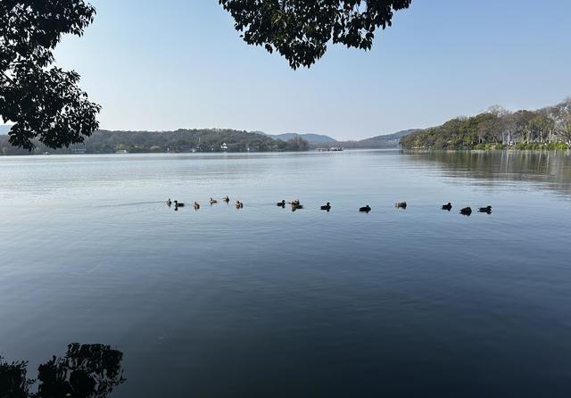 在日华人的焦虑！同事的孩子在日本留学，毕业，然后不准备回来了，把家里一套房子卖掉