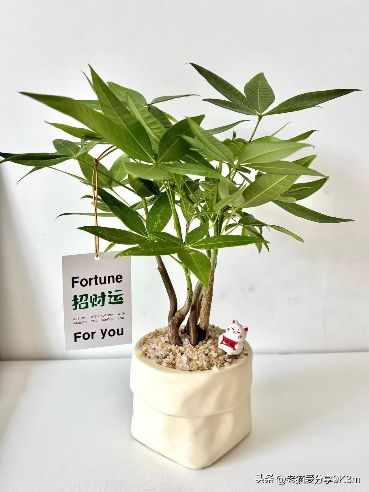 我的今日状态：💰期待暴富
我这里的天气：🌤️多云