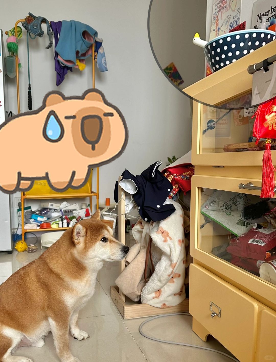 它坐那祈祷半小时了