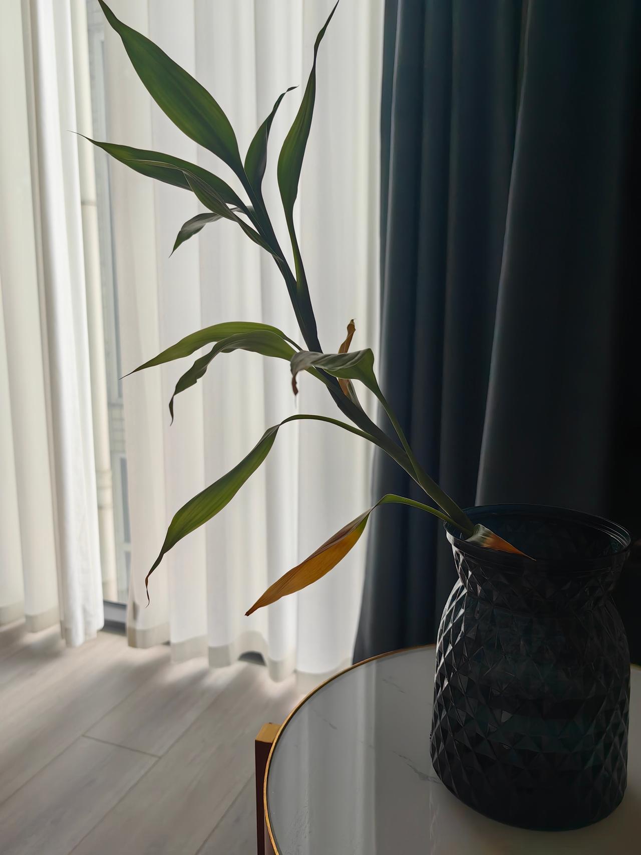 晒出你的本地生活成都成都的春天是湿润的，清新的。夜里小雨飘洒，白天空气清新。街头