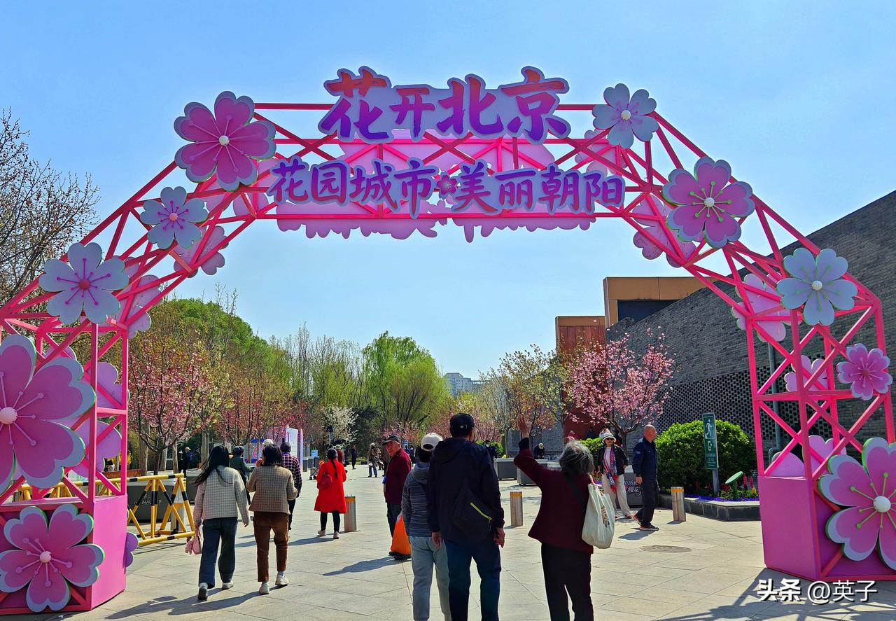 春日寻芳北小河，京城醉美赏花地
春风送暖，京城各大公园迎来繁花盛开的时节。朝阳区