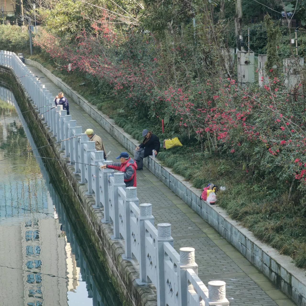 春天来了
艳阳高照迎东风，笑看冬去换新景，
花开草嫩柳发芽，更闻小鸟鸣春声。