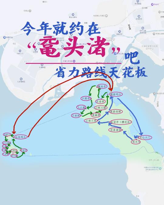 今年就约在鼋头渚吧，看樱花喂海鸥