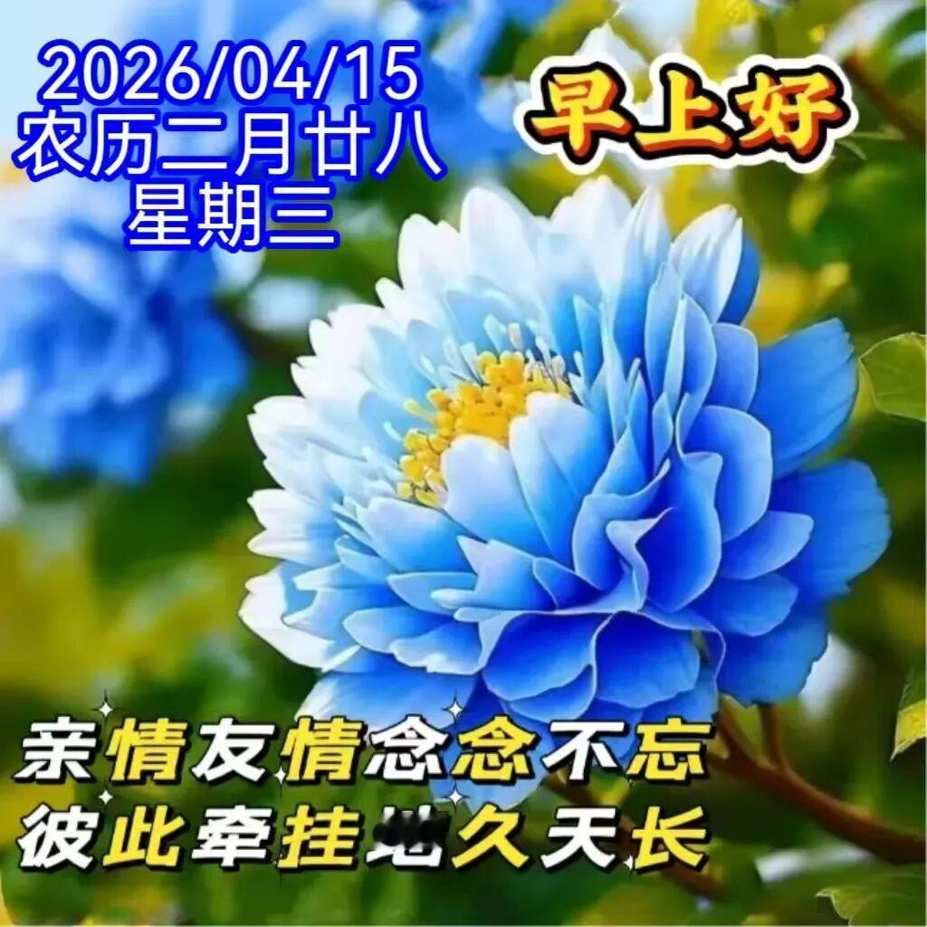 人生有缘，逢知己。天赐缘分，要珍惜。每天问候，增友谊。相互惦记在心里，星期三，安