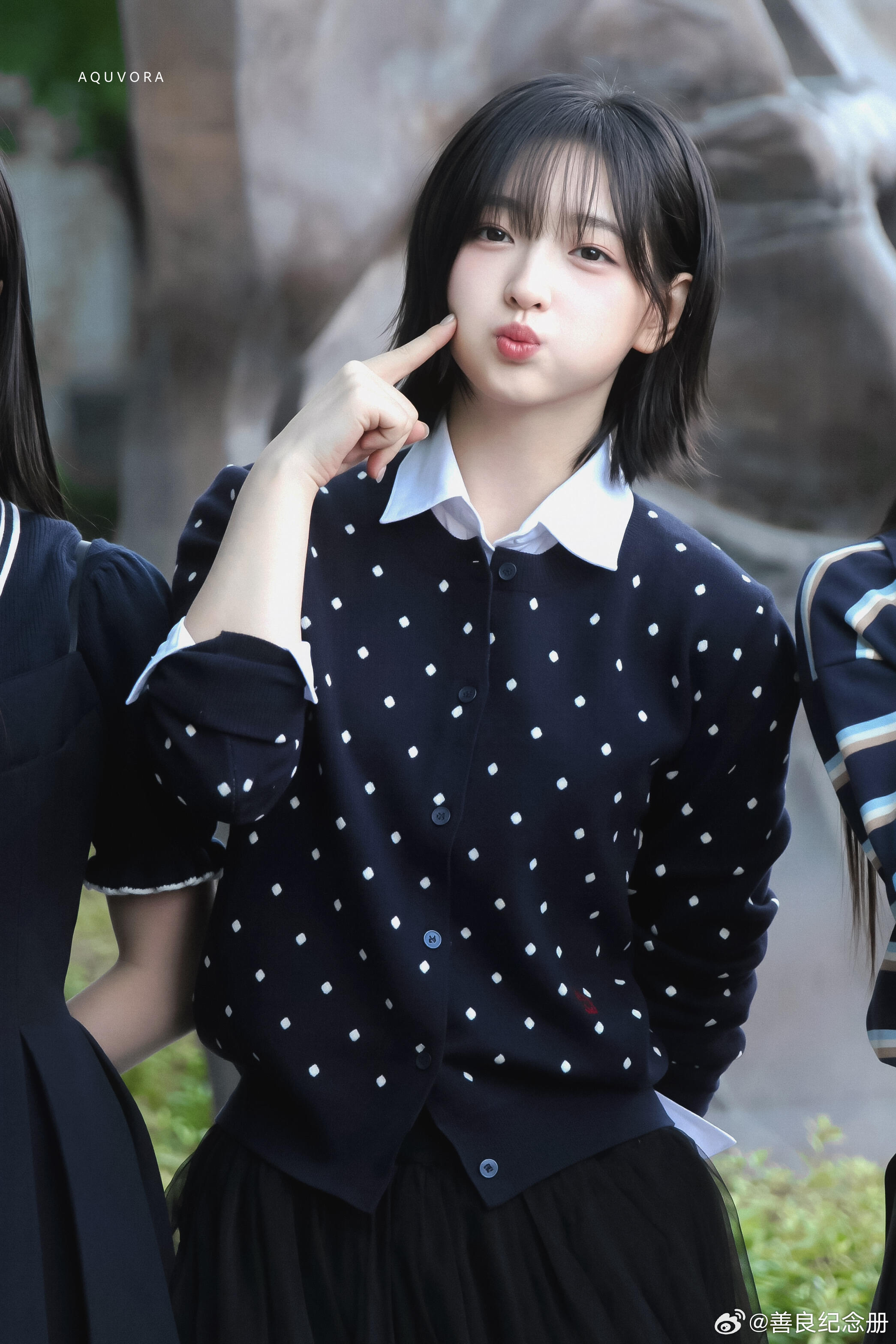 春日元气少女vora ​​​