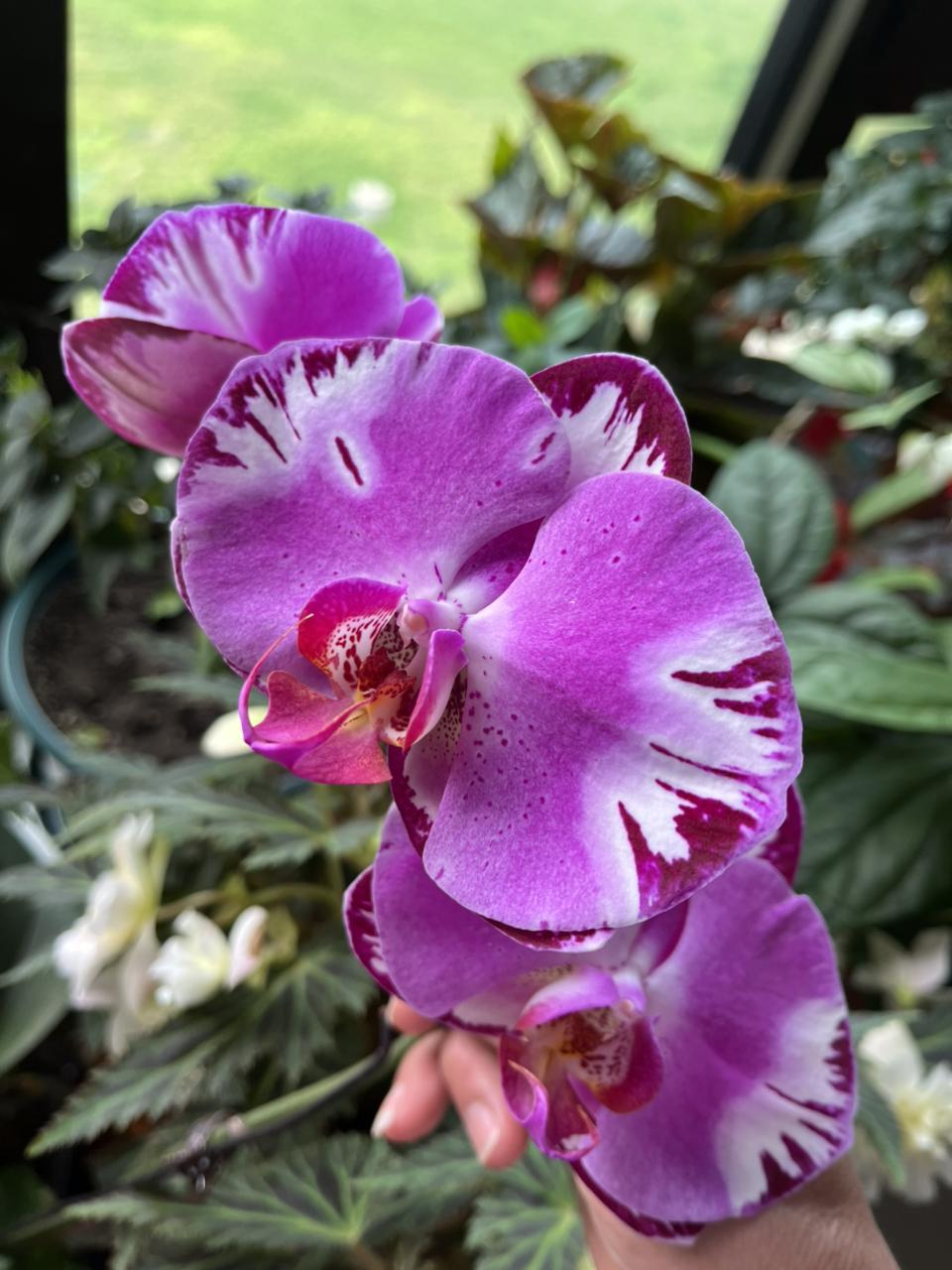 我的今日状态：😁轻松愉快
我这里的天气：🌤️多云

今天又是多云天气，小风吹