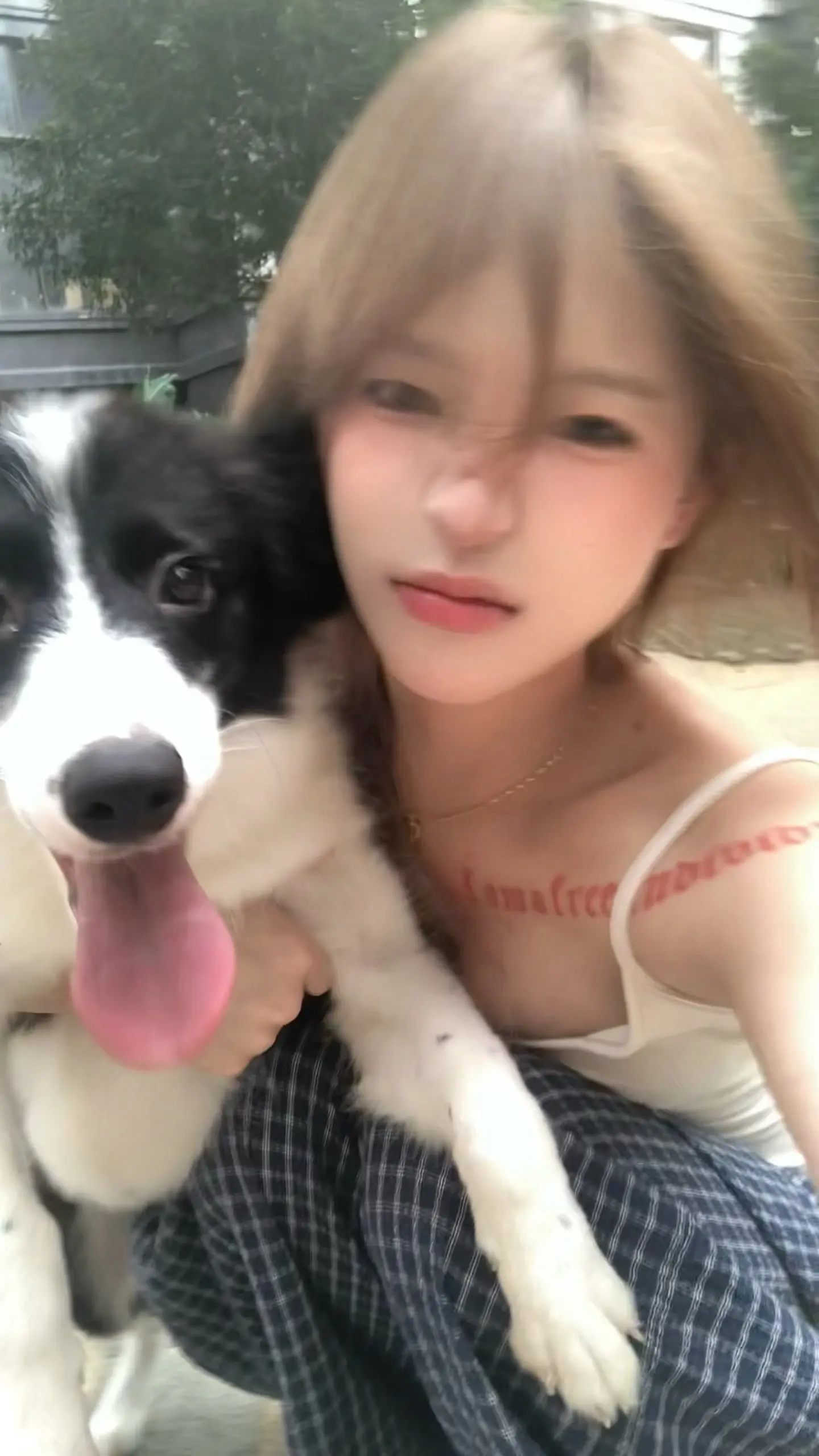 痛是后知后觉的 差点转发的视频 安静的微信 消失的早安和晚安