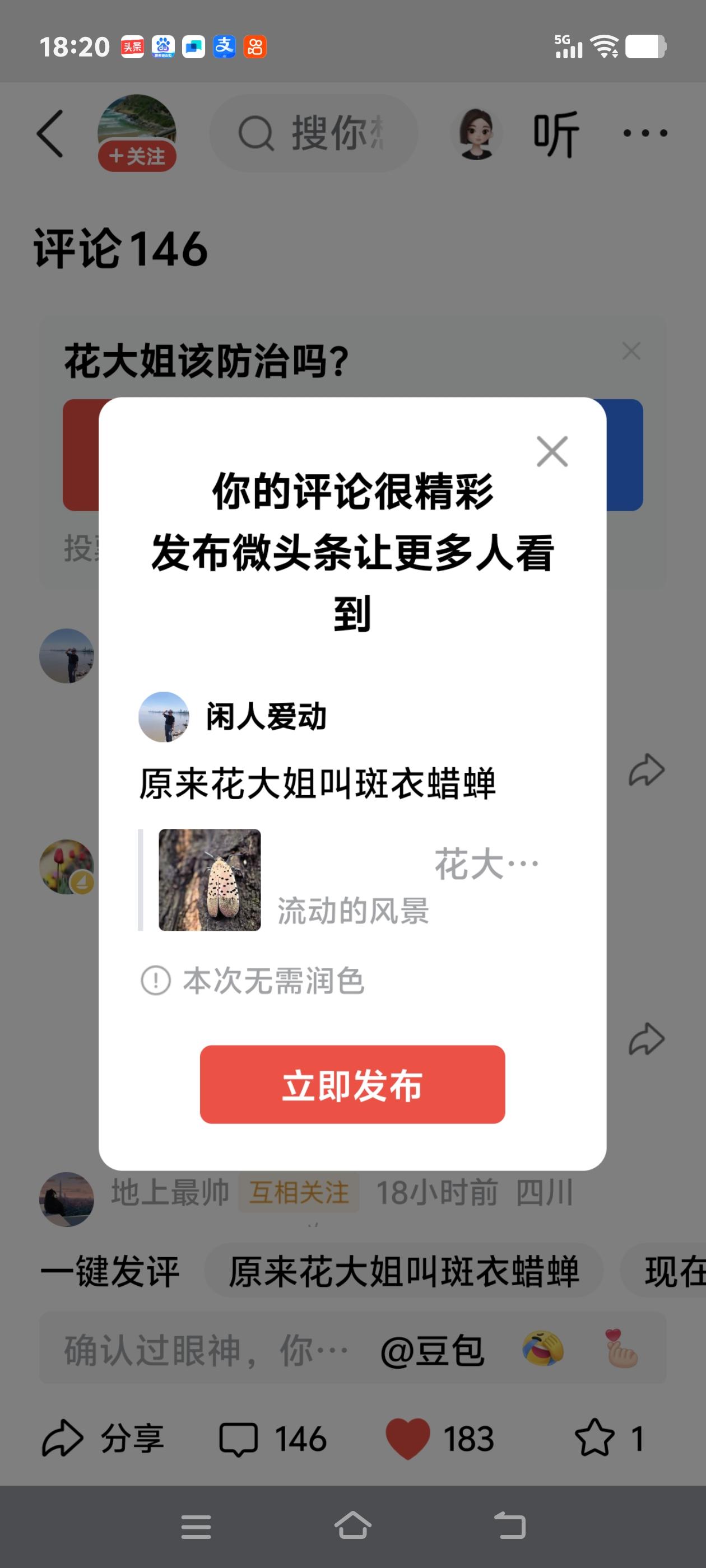 原来花大姐叫斑衣蜡蝉