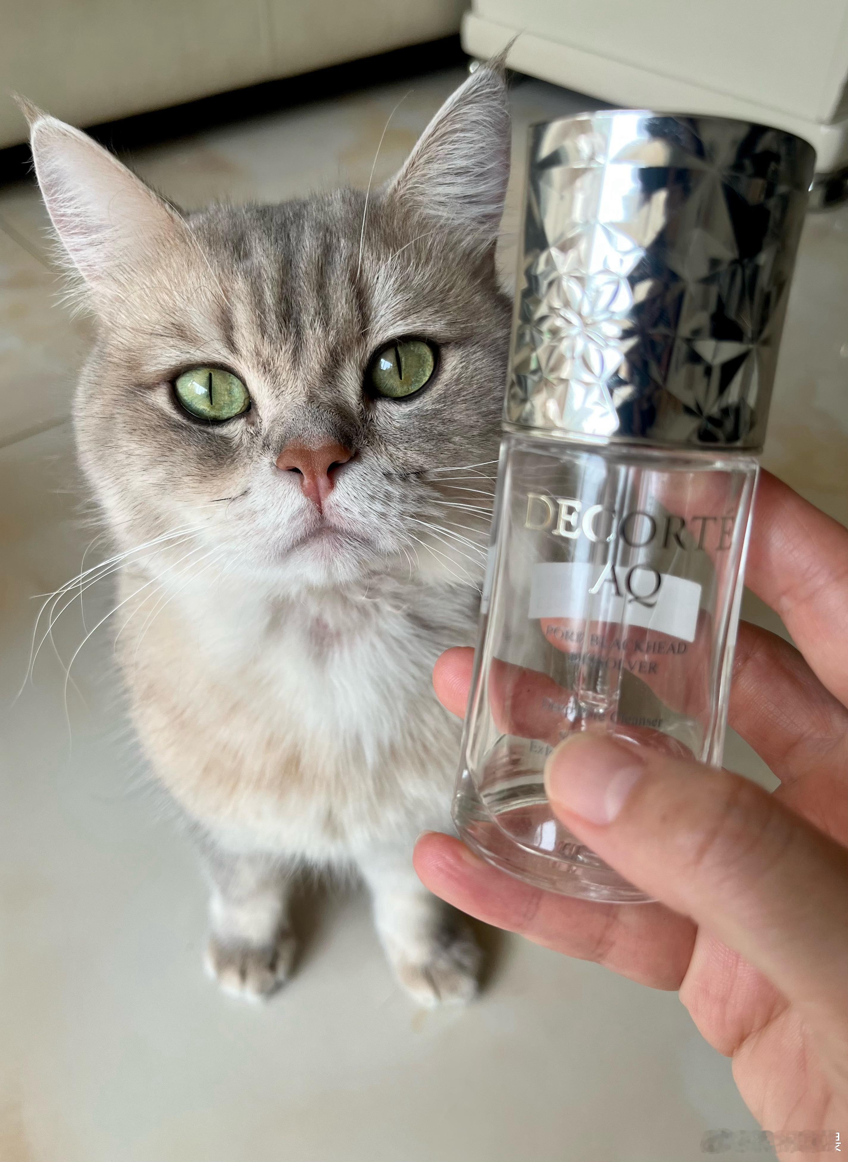 我的小猫从三月开始过敏，我跟王瀚裕为它操碎了心，看医生吃药换粮不说还给它“算命”