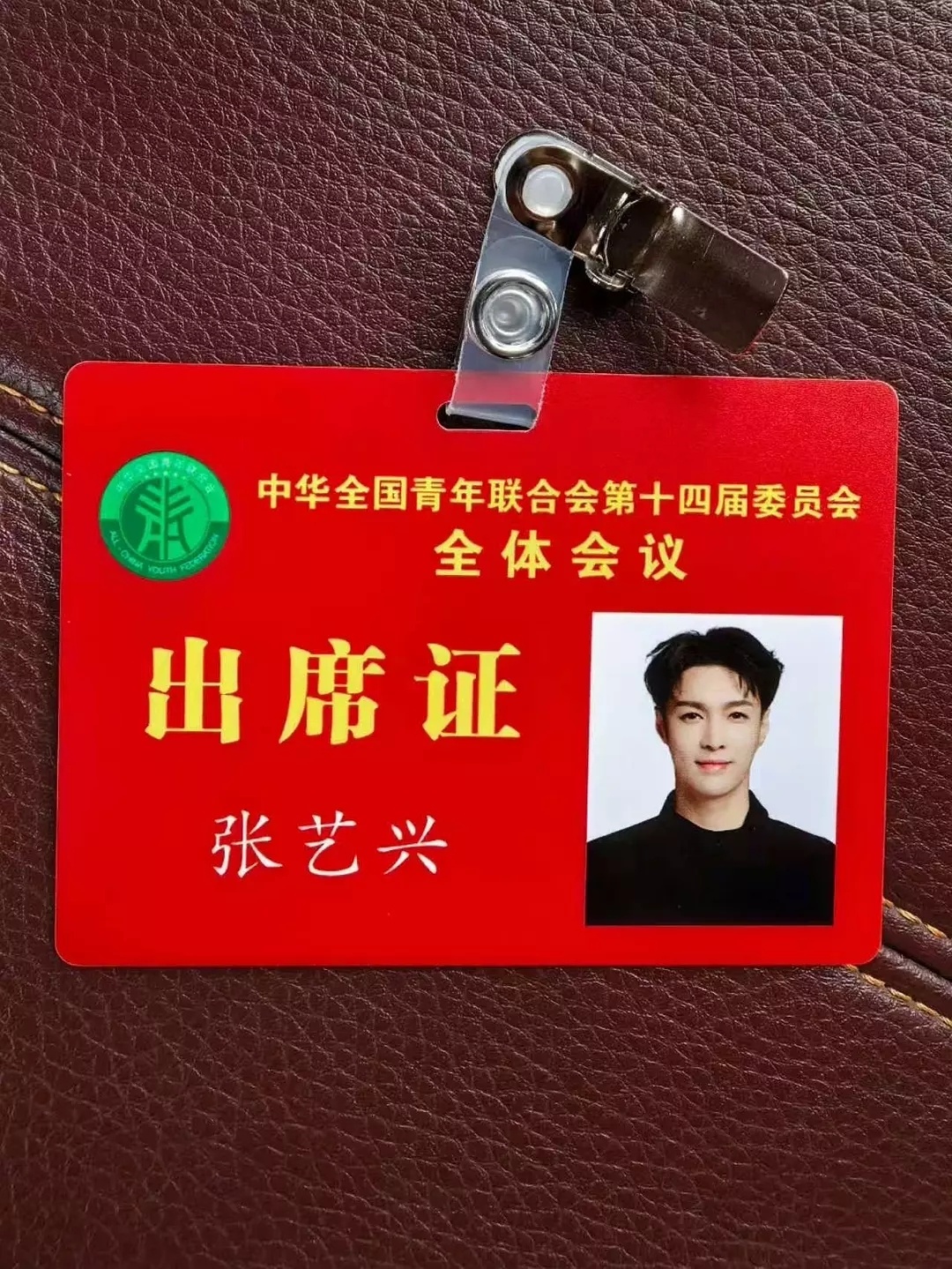 张艺兴现在已经是全国青联委员了根正苗红，正能量代表，优秀啊 ​​​