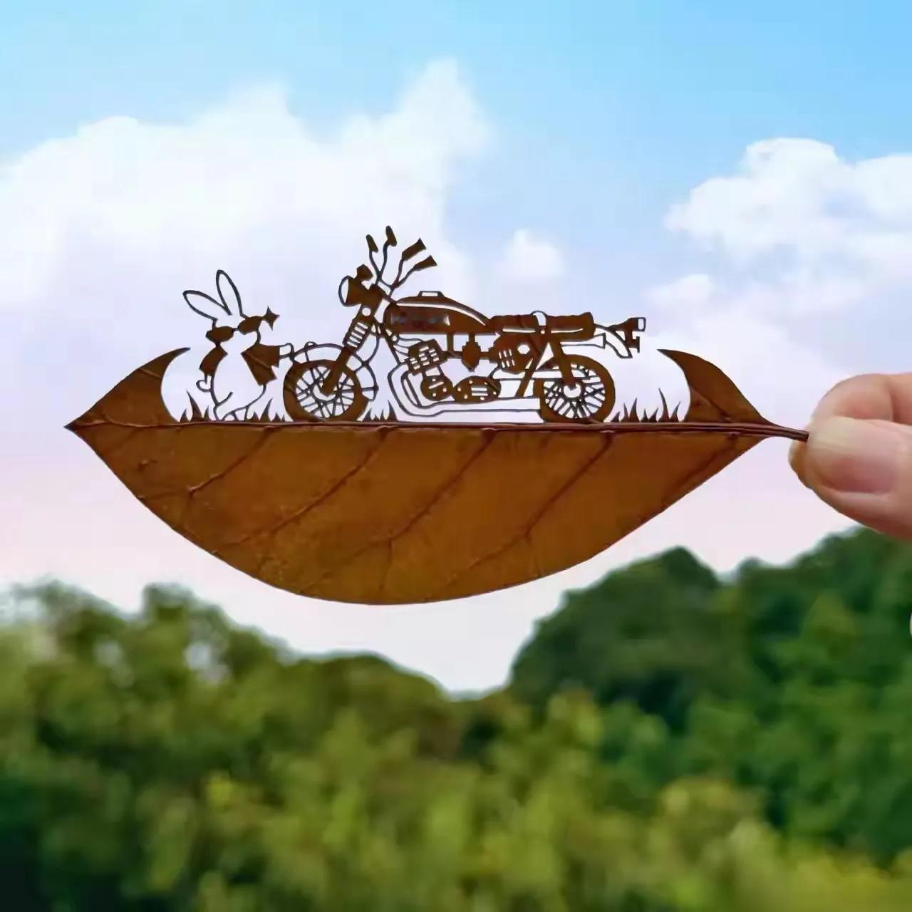 这树叶还保持原色，是怎么处理的，一般叶子干了很容易折断，真是不简单！

据说这样