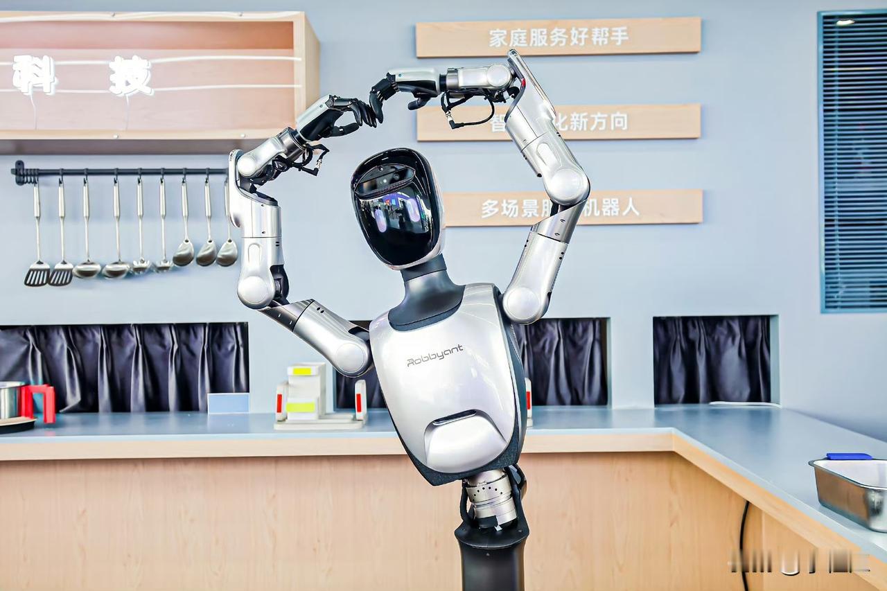 时间来到2025年的年底，造车的车企们，好像有一种一致的方向和标的，都瞄准了人形