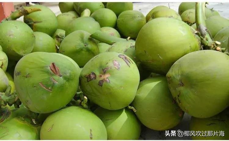 为什么海南本地出产蔬果，反而岛外卖得比岛内更便宜？

海南本土果蔬常出现售价“价