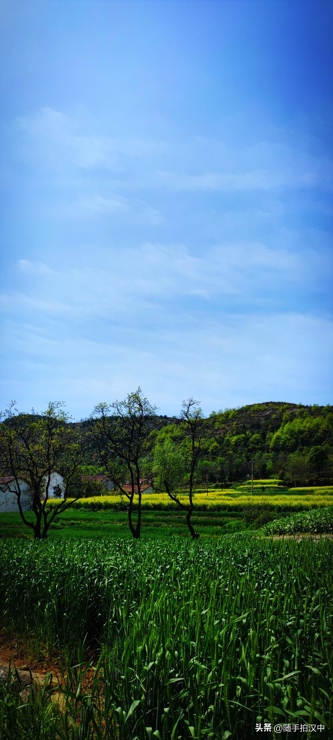 春日生活打卡季远山、村落和隐隐约约传来的鸡犬声，让旅途劳累的我们有了一丝丝暖意，