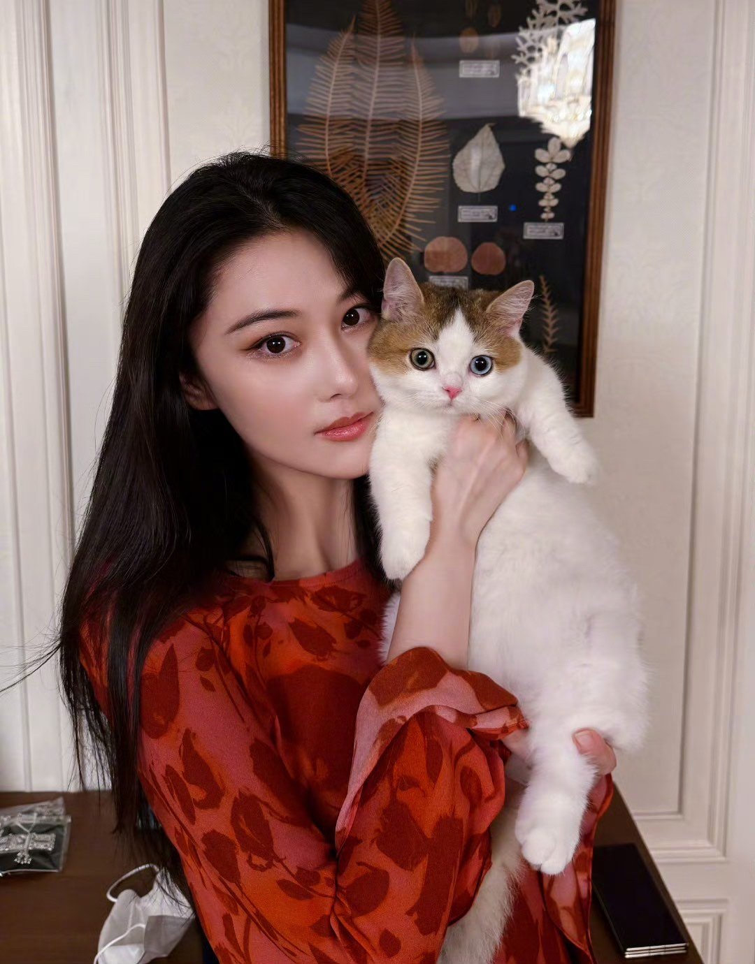 张馨予二猫家庭张馨予晒两只猫张馨予也成二猫家庭啦，两只猫咪都好可爱！ ​​​