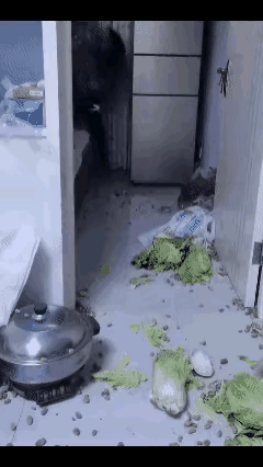 一位母亲从家乡辗转多次换乘交通工具，给儿子送来蔬菜。儿子在母亲临行前，用手机给她