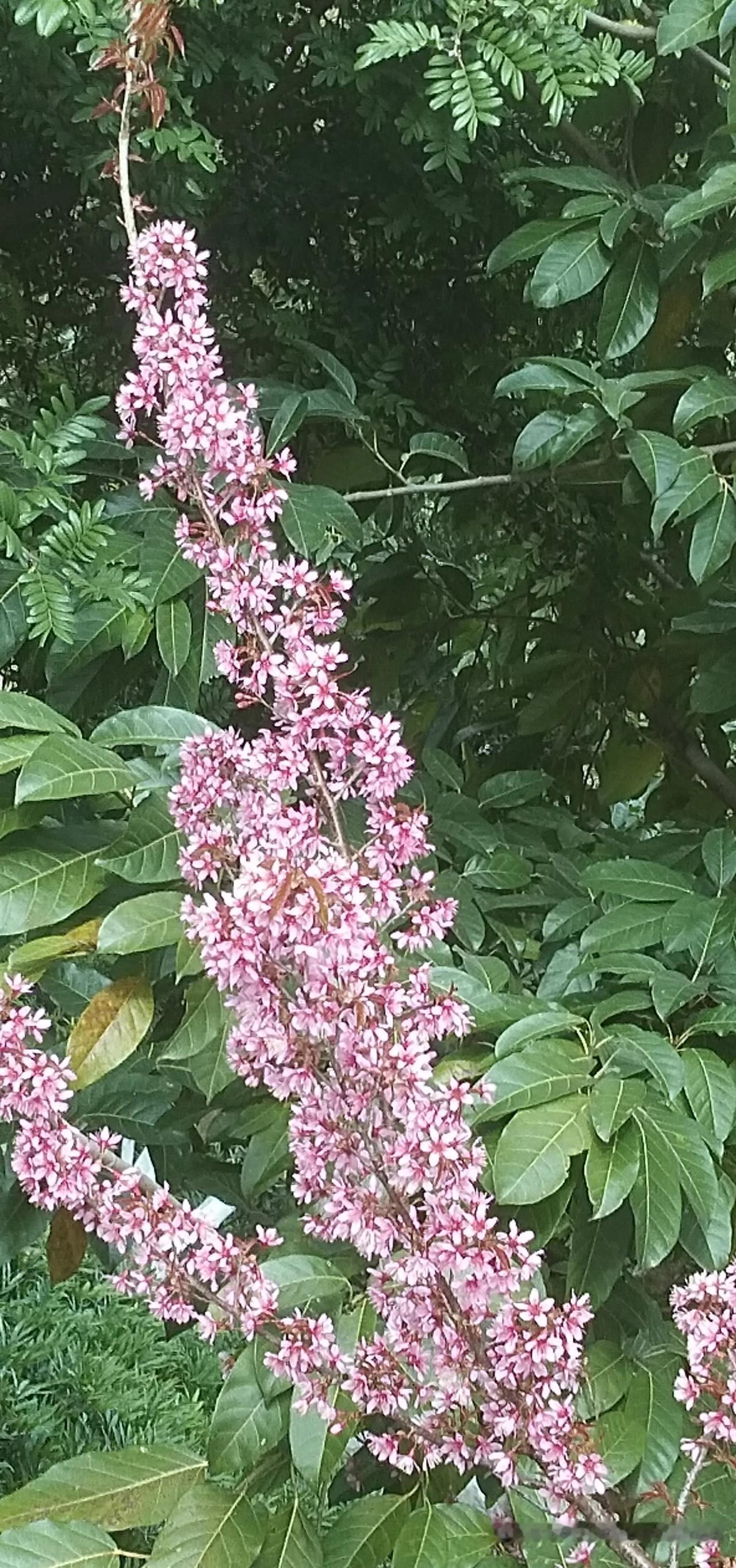 如何用诗词歌赋表达对自然的赞美要走走看看，要么看一年，要么看三年，三年后，把自然