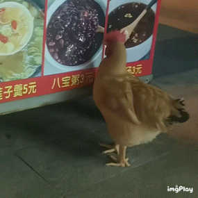 我吻上纸片人就像图里这样😞🌹 