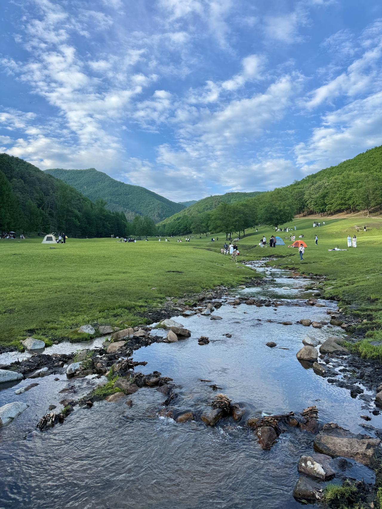 以上照片实况拍自2025年6月1日，时间已经过去一周，金山鹿苑得更漂亮了吧[哇R