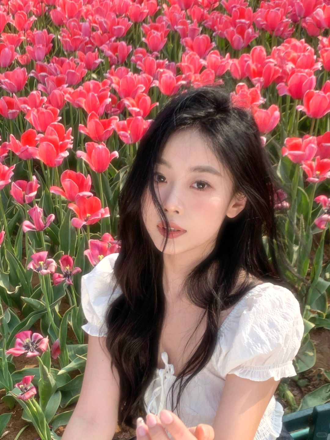 开始期待今年的郁金香啦🌷