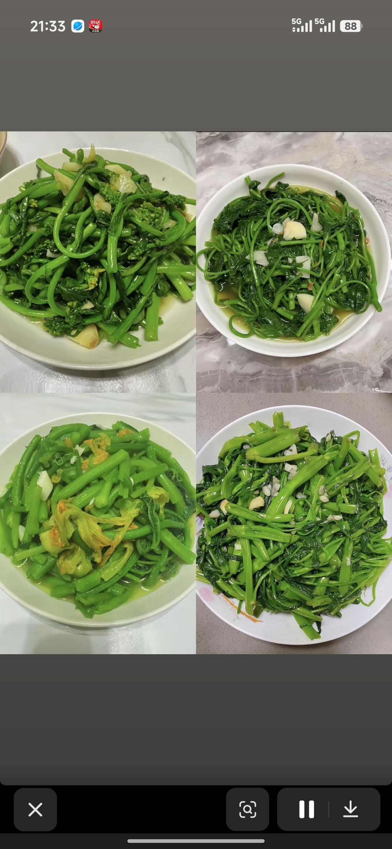 秋日生活打卡季
