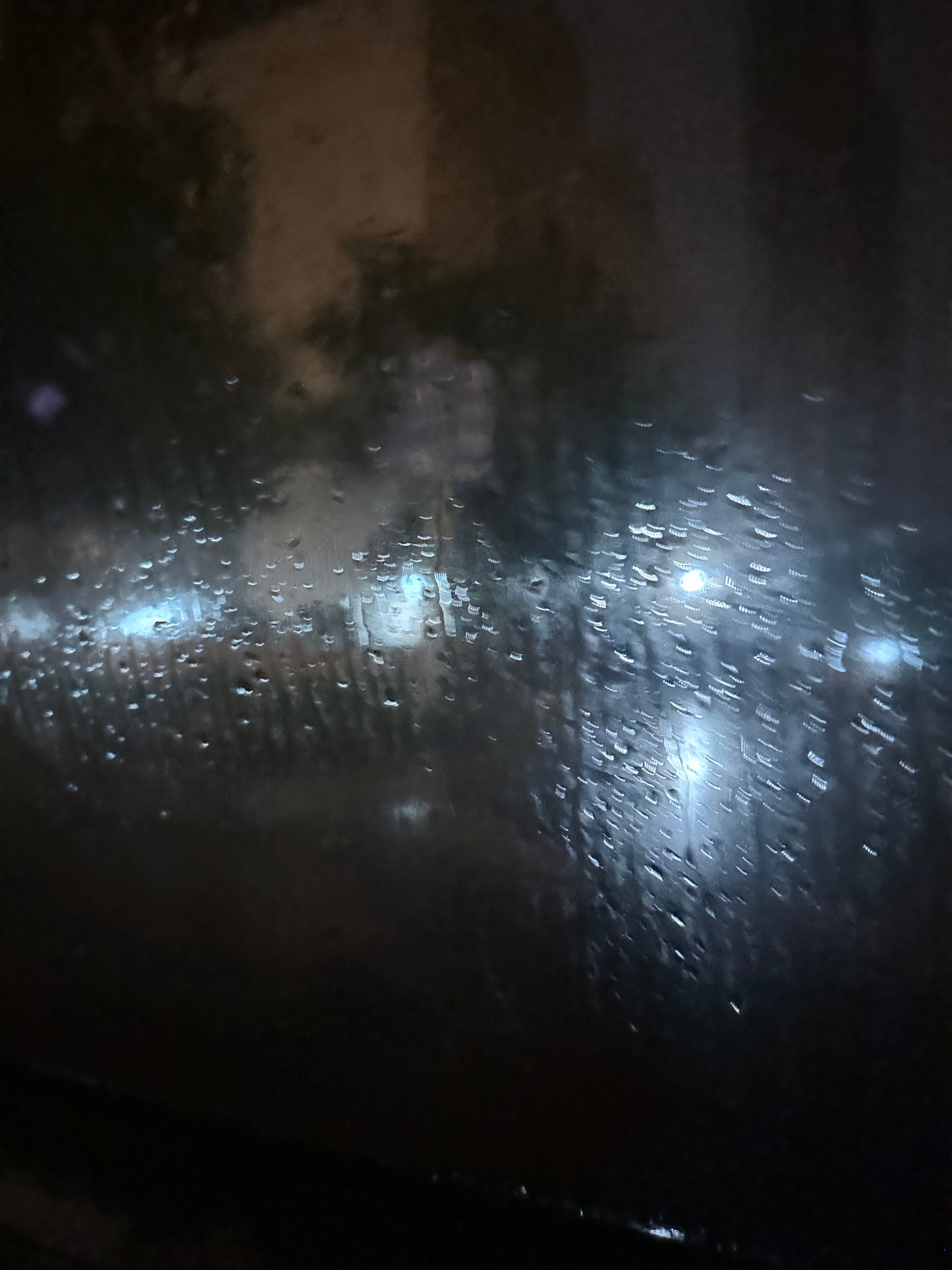 好忧郁啊沈阳我要走了 