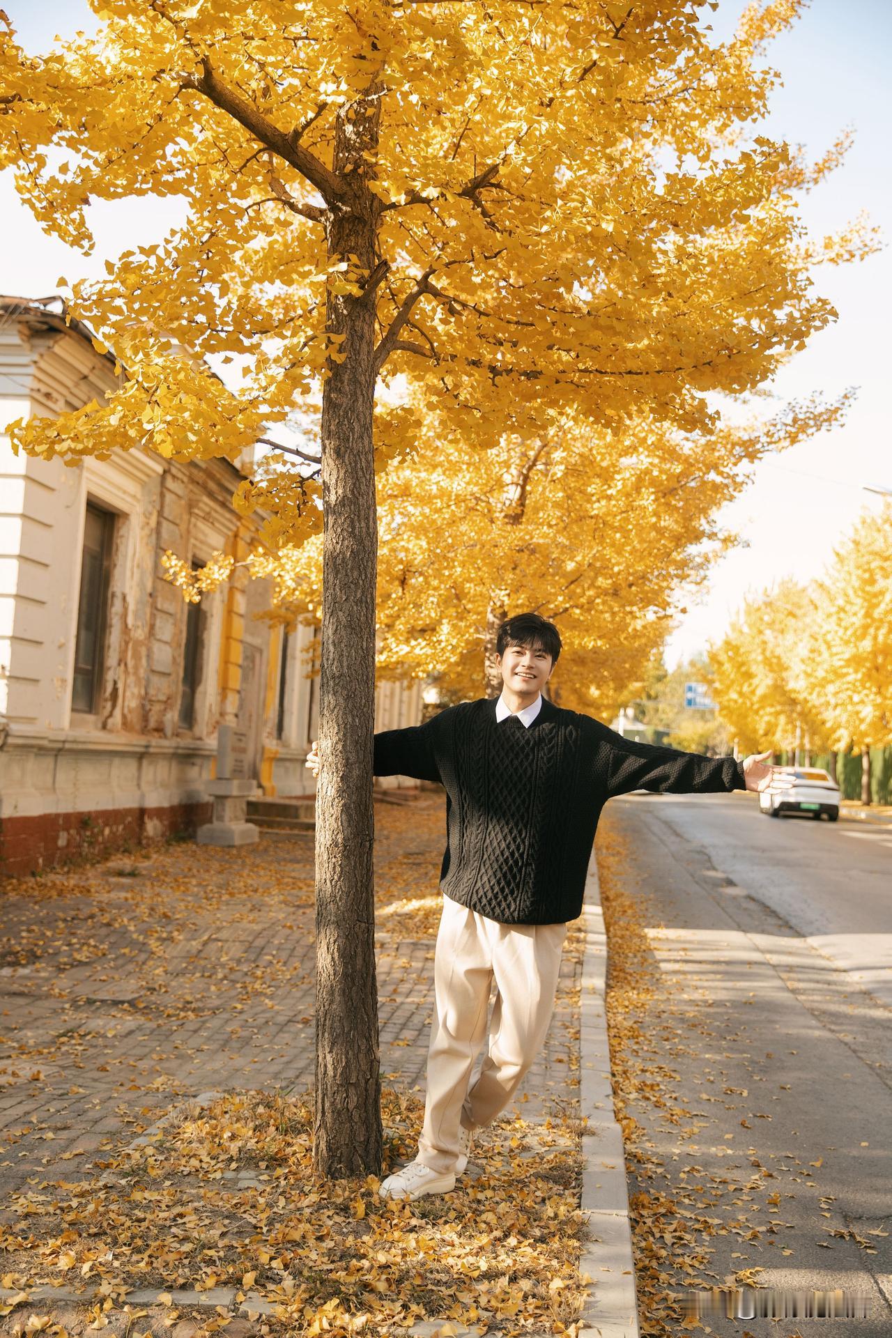 在秋天，拥抱一棵大树，心情真好。秋日治愈系旅行 秋天树林风景