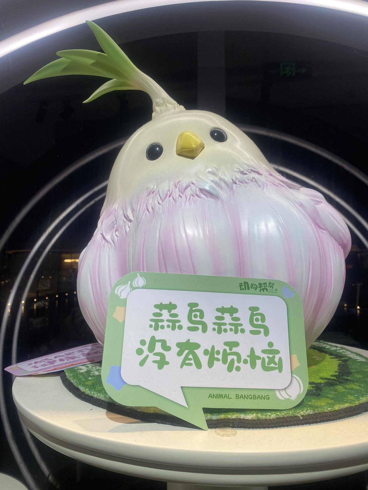 蒜鸟 蒜鸟 没有烦恼