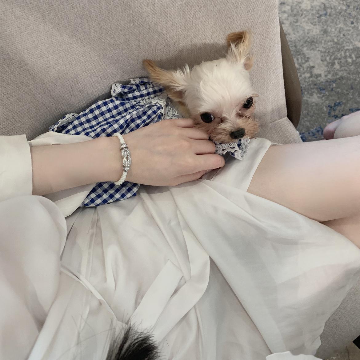 愿得一人心 白首不相离 ​​​