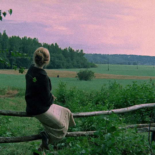 “她真的不知道他是不是会回来，和那一阵风。”，《镜子》，1975年。 