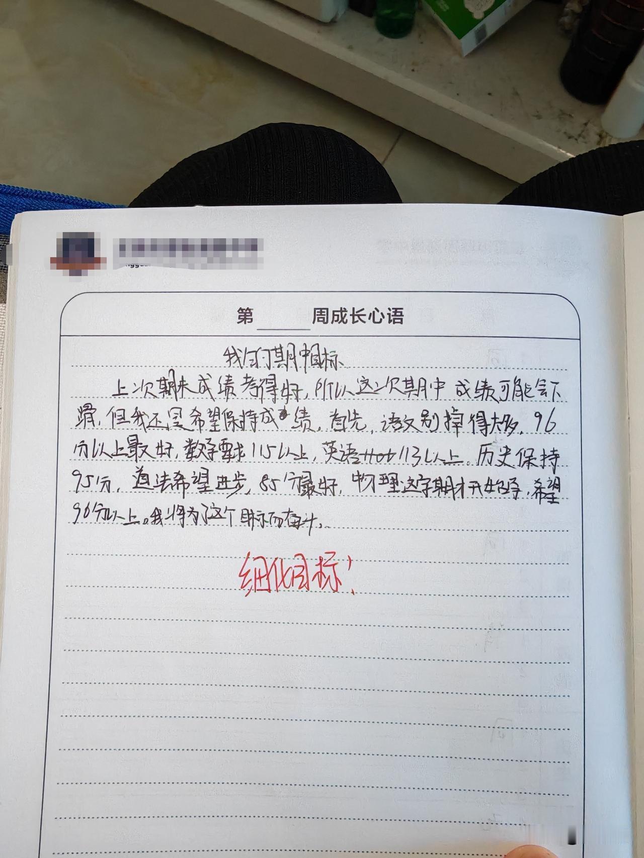 前天翻看孩子的书包，看到老师让学生写的期中目标，我娃写的想保持成绩，写了每科都目
