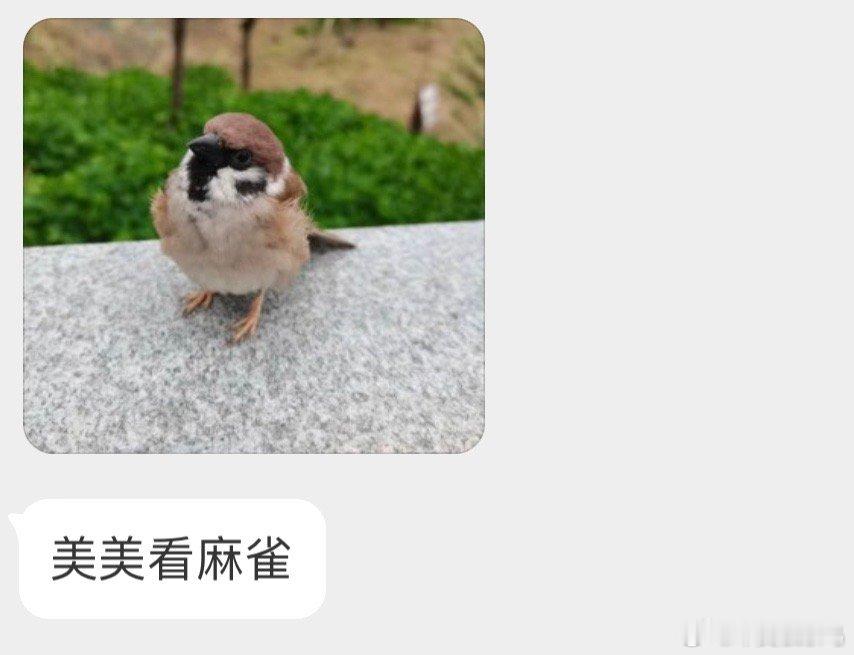 好有礼貌的样子！ ​​​