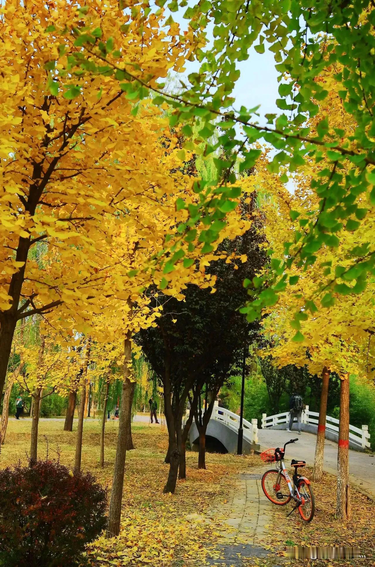 #上联：冬寒山色淡，诚邀神人下联#
#下联：夏暑水光浓。#
#横批：四季韵象[福