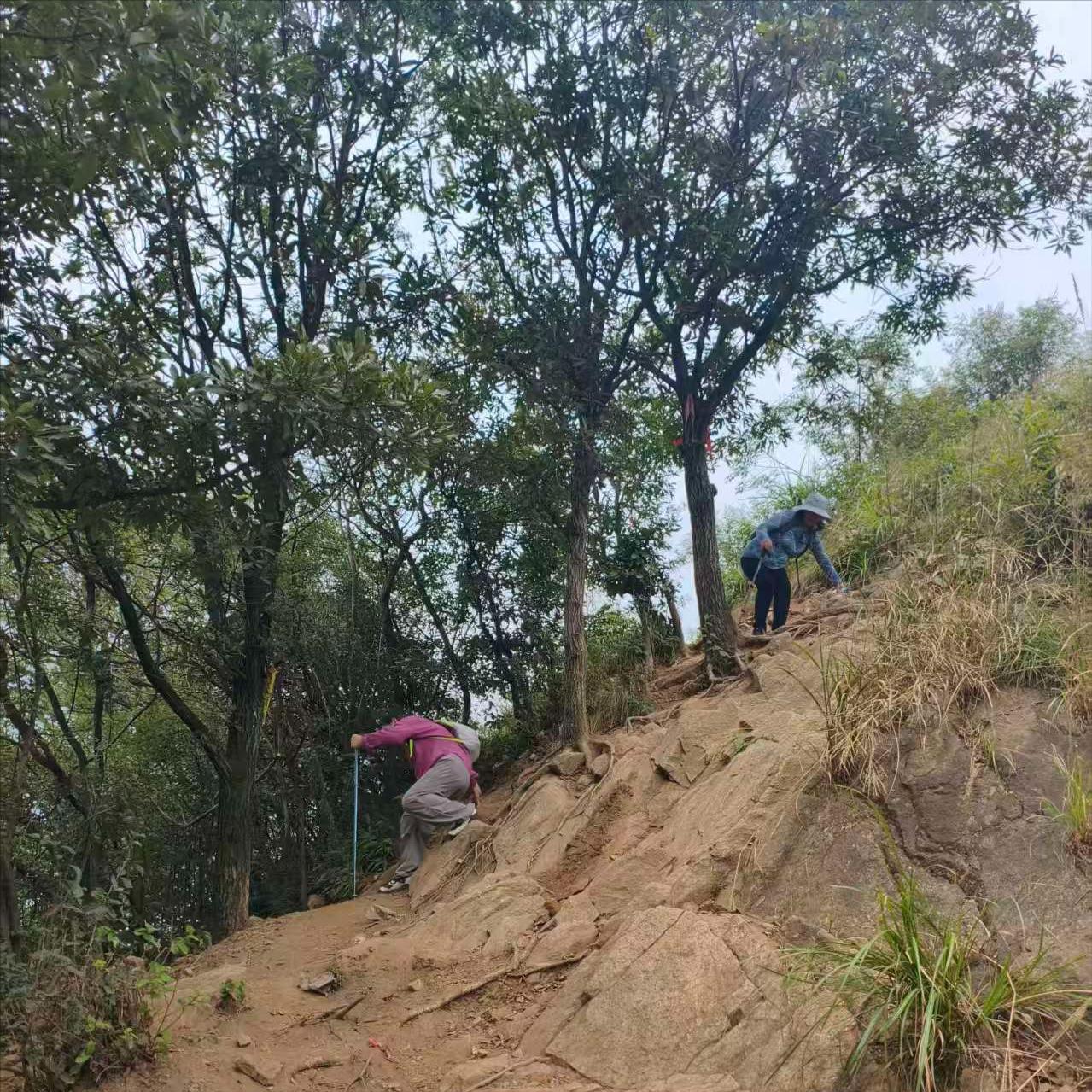 “奴工理论”，可以解释很多不可思议的现象。
这个词正在网上兴起，并非严谨的学术概