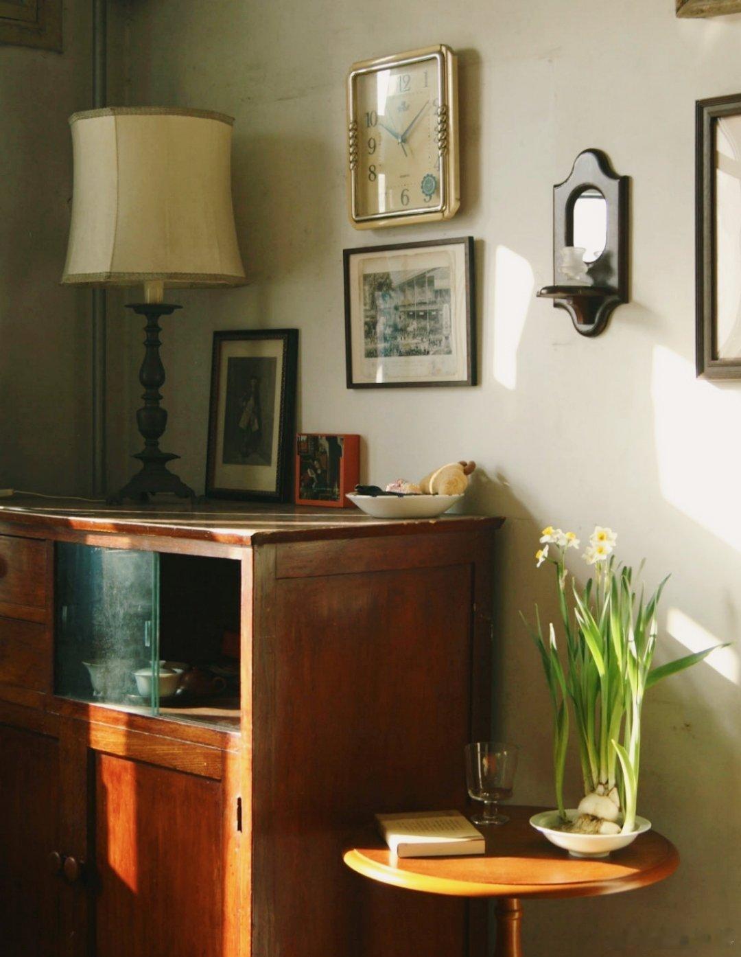 有一种水仙叫舞蹈家 不艳不俗，清雅耐看，舞蹈家水仙用最温柔的姿态，撑起一整个家的